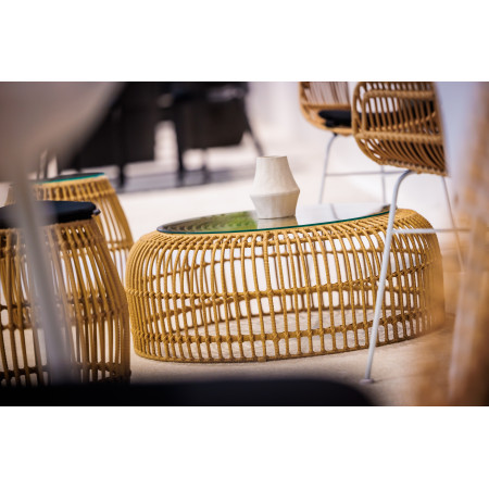  Conjunto Palm Exterior/ Interior 6 Elementos